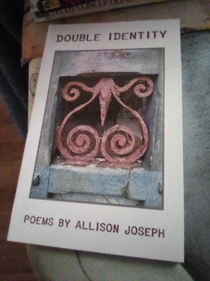 DOUBLE IDENTITY By Allison Joseph 2016