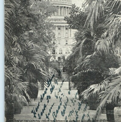 1910 Washington DC Capitol Dome from Botanical Gardens Postcard