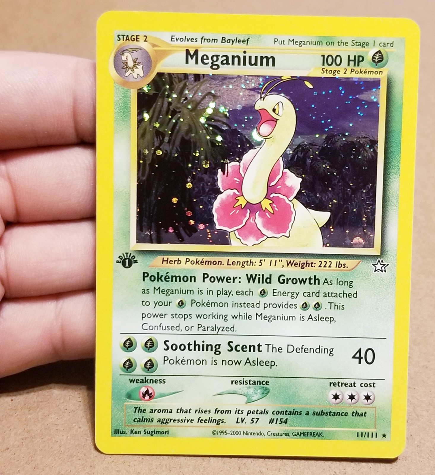 POKEMON TCG  1ST EDITION MEGANIUM 11/111 ☆ HOLO RARE NEO GENESIS VINTAGE NM