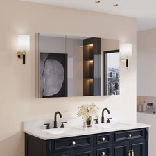 48 In. W X 30 In. H Rectangular Medicine Cabinet with Mirror in Silver with Adju