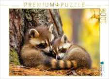 CALVENDO Puzzle Waschb ren 1000 Teile Lege-Gr e 64 48 cm Foto-Puzzle f r gl