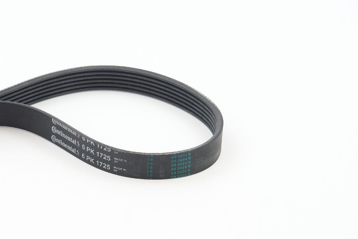 Fits CONTITECH 6PK1725 V-RIBBED BELT - Image 10