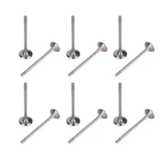 6 Inlet Valves and 6 Exhaust Valves for Renault 0.9 12v TCe - H4B NEVLOCK