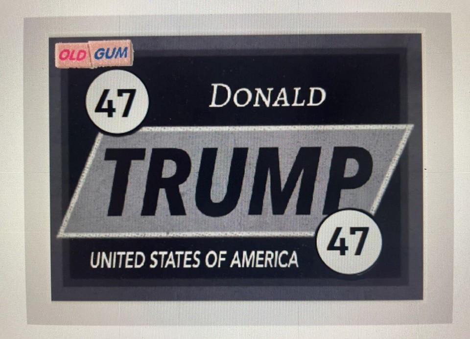 Donald Trump 2024 “Team Trump” Custom ACEO Card MAGA Loser Of The Year ...