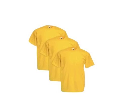 3 T-Shirt Fruit of the Loom Magliette Colorate Mezza Manica – Personalizzabili! - Foto 5 di 20