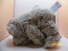 Bild 9 von 11