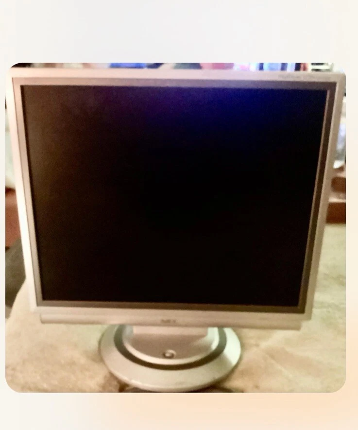 NEC 16-18.9 Inch Computer Monitors for sale | eBay