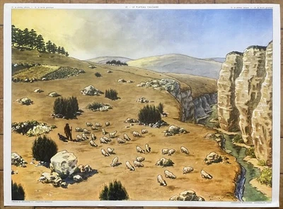 🌄 Ancienne affiche scolaire Rossignol, 1950 - 15 Plateau calcaire 16 granitique - Photo 1/2