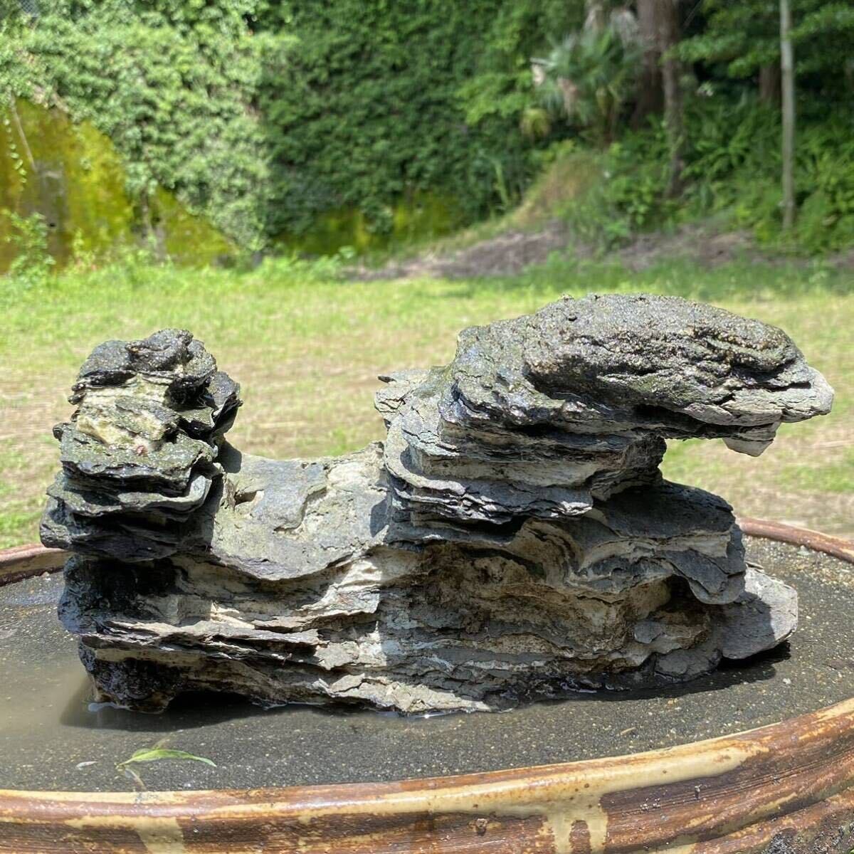 Suiseki Viewing Stone Bonsai ornamental stones rock Ryugan Stone