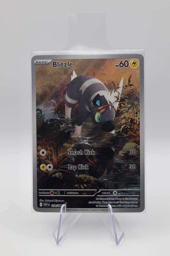 Pokémon TCG SV White Flare Blitzle Card 114/086 Illustration Rare, Near Mint