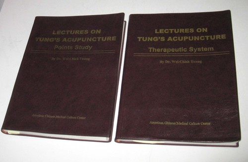 Posten 2 Vorträge über Tung-Akupunktur Dr. Wei Chieh Young Therapeutisches System Bücher - Bild 5 von 5