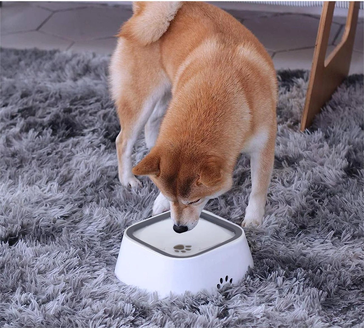 No drip dog water bowl cheap