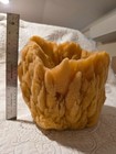Real Sea Sponge Decorative Vase Coastal Nautical Beach Home Decor Tarpon Springs — photo 3