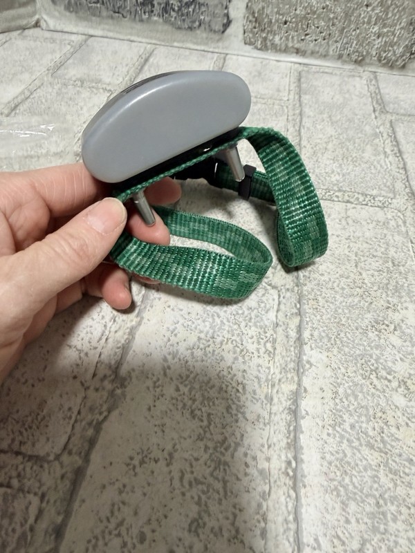 Invisible Fence MOD: RIG00-12807 CLASSIC RECEIVER 800 Series