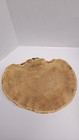 appears to be a dried specimen of a polypore fungus — photo 2