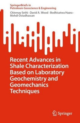 Recent Advances in Shale Characterization Based on Laboratory Geochemistry and G