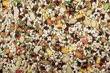 Royal Feeds Large Hookbill Plus - Bird Food for Large Parrots (5 lbs)