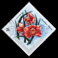 BURUNDI C174 - African Orchids "Cymbidium hamsey" pb87629
