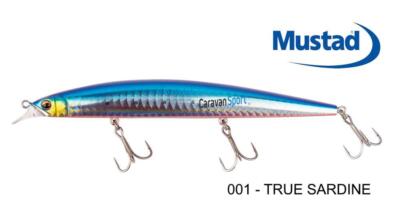 Künstlich Spinning Mustad Gonta Minnow 170 F Köder Serra Long Jerk Locken Sea