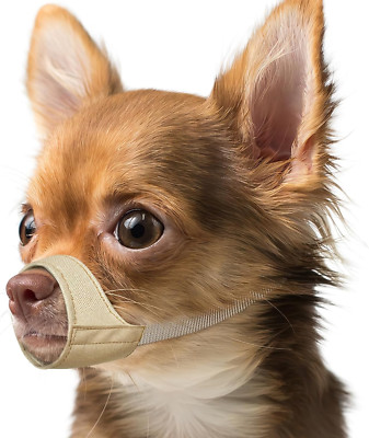 Short Snout Dog Muzzle, Small Muzzle for Chihuahua Shih Tzu American Bully Boxer