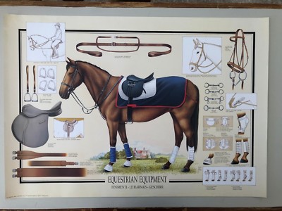 EQUESTRIAN EQUIPMENT, HORSE, DESIGNED BY L. RIGO, RARE AUTHENTIC 1994 POSTER