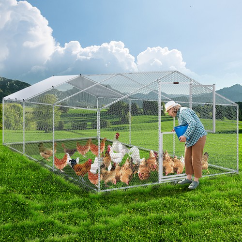 VEVOR Large Metal Chicken Coop WalkIn Chicken Run 19.7x9.8x6.6 ft