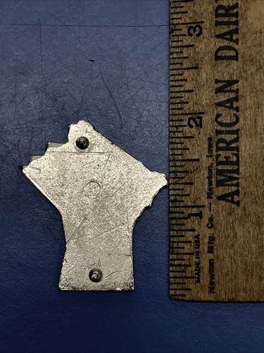 Vintage Newton New Hampshire State Shaped Lions Club Pin - Bild 2 von 2
