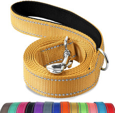 Double-Sided Reflective Dog Leash, 4 FT, Padded Handle Nylon Heavy Duty Leashes