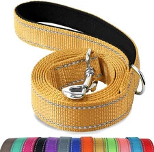 Double-Sided Reflective Dog Leash, 4 FT, Padded Handle Nylon Heavy Duty Leashes 