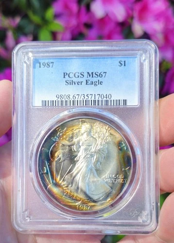 1987 $1 PCGS MS67 Satiny Album Concentric Rainbow Toned Silver American Eagle