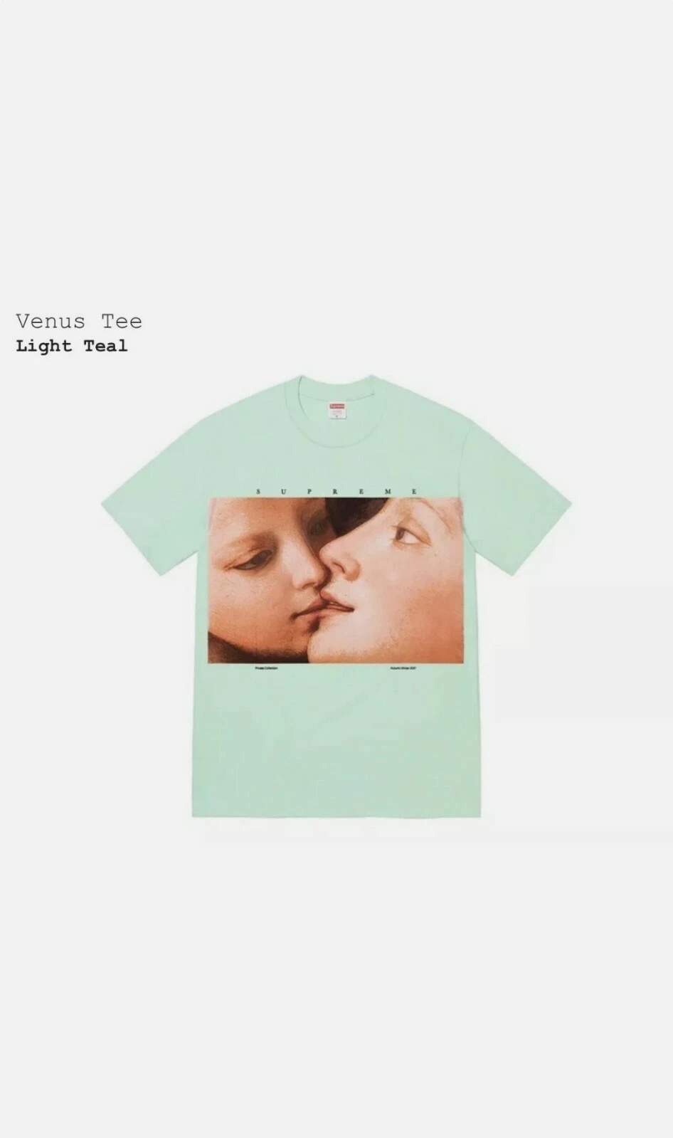 *Supreme* T shirt Venus sarcelle légère taille XL FW21 