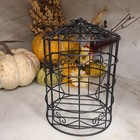 Black Metal Decorative Bird Cage Decor Accent Candle Holder Country Farmhouse