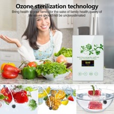 Detoxification machine Portable ozone desinfect FREE SHIPPING
