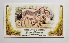 2011 Allen & Ginter Animals In Peril Insert Mini #AP18 Grevy's Zebra