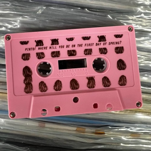 Pinto – 'Where Will You Be On The First Day Of Spring?' Cassette EP Pink Emo x - Picture 3 of 3