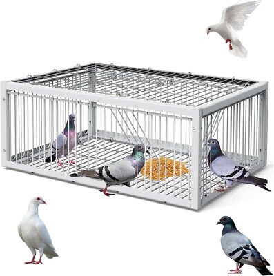 Pigeon Trap Cage Bird Traps for Small Birds Folding One-Way Entrance Trapping...