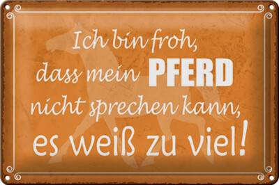 Blechschild Spruch 30x20cm bin froh mein Pferd nicht spricht Deko Schild tin sig