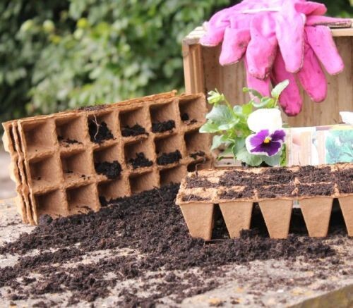 B&Q - Wood Fibre Seed Trays 72 Cells - Image 2