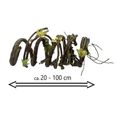 Künstlicher HASELNUSSZWEIG ca 100cm. Korkenzieherhaselnusszweig Ast Dekozweig