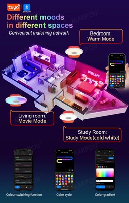 LED-Deckenleuchte RGB Smart Lights Musik-Licht mit Lautsprecher