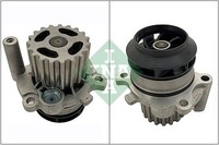 Schaeffler INA 538 0089 10 Wasserpumpe FüR Audi Chrysler Dodge Ford Jeep