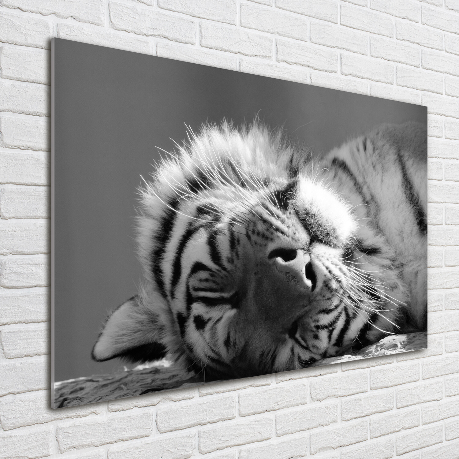 Glas-Bild Wandbilder Druck auf Glas 100x70 Deko Tiere Müder Tiger