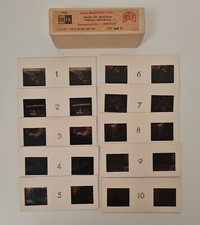 DEFA 3D Color-Raumbild-Serie Baumannshöhle Rübeland 10 Color-Raumbild-Dias VEB 