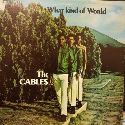 The Cables - What Kind Of World (LP) (Near Mint (NM or M-)) - 3922553638