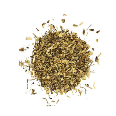 Echinacea