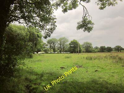 Foto 12x8 Weide von Coldridge Brook von der gleichen Stelle wie [[4311411]] c2014