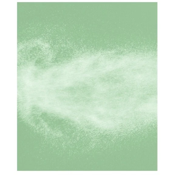 TONYMOLY ALOE 93% Chok Chok Soothing Gel Mist 150ml(5.07oz) x4pcs Korea - image 2 of 4