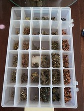 Caddis Pupa  and Other New Fly Fishing Flies 350+ Fly Store Closure