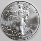 2015 American Silver Eagle (BU) in a Capsule - PRISTINE - ORIGINAL OWNER!