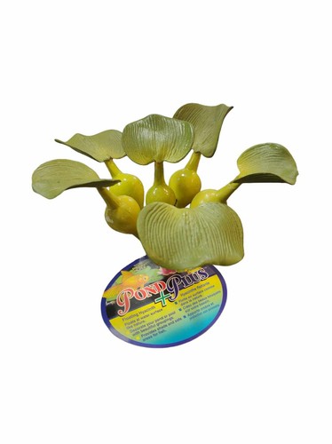 Floating Water Hyacinths Lot of 12 Penn Plax - 第 1/4 張圖片